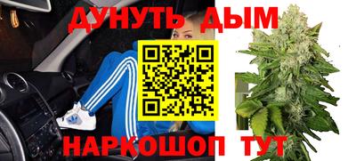 прущие грибы Будённовск