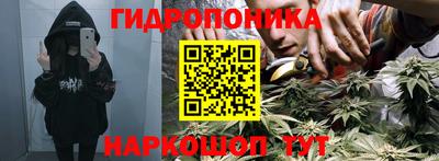 индика Бузулук