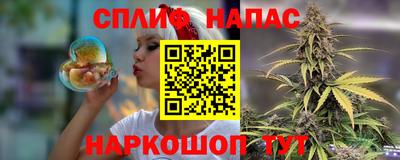 прущие грибы Будённовск