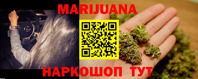 прущие грибы Будённовск