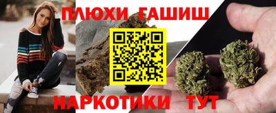 прущие грибы Будённовск