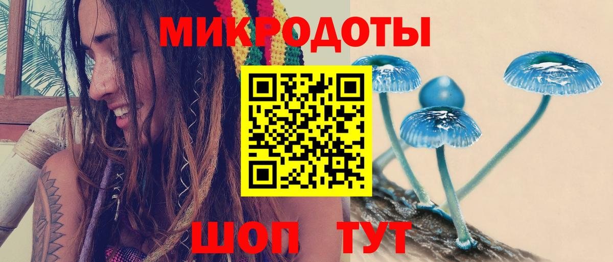 Галлюциногенные грибы ЛСД Кропоткин